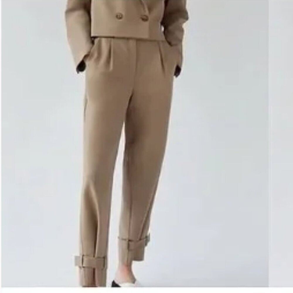 Aritzia Babaton Wool Lalonde Pants in Taupe size 4 - Picture 2 of 10